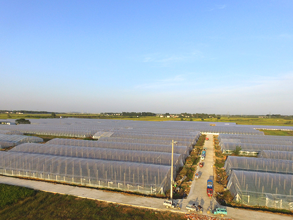 春秋拱棚、保溫拱棚溫室